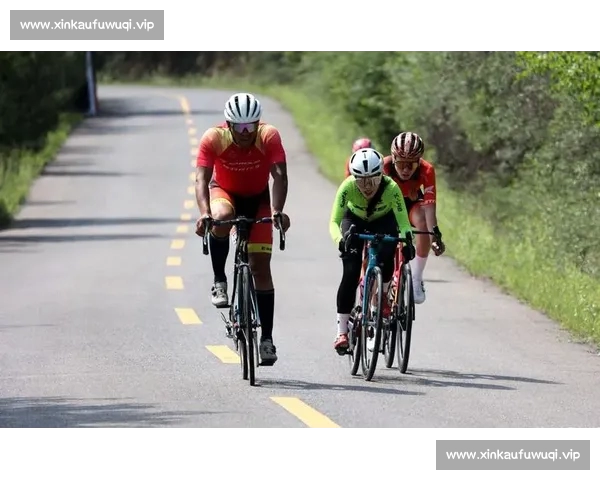 一站式体育赛事资讯直播数据分析APP手机下载安装到底攻略指南